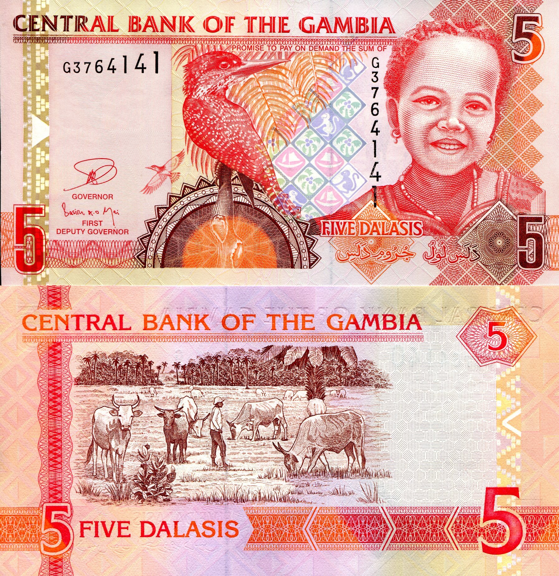 Gambia 5 Dalasi UNC pick #: 25c