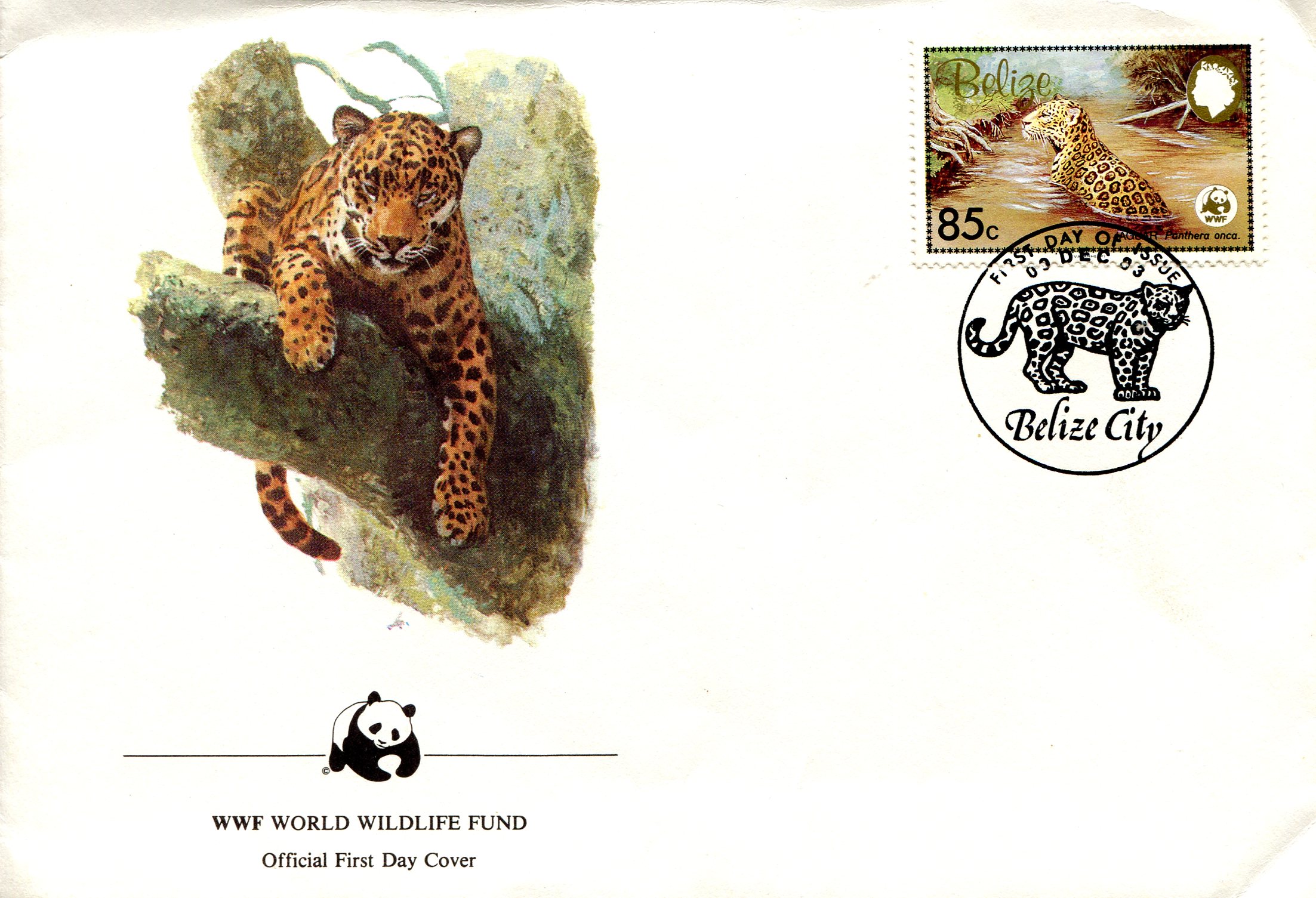 El Salvador Big Cats: Margay, Ocelot