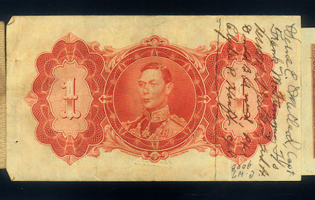 British Guiana 13 Note Snorter Belt